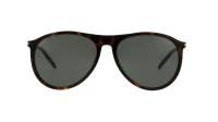 Saint Laurent SL 667 002 56-16 Tartaruga