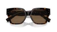Dolce & Gabbana DG4471 502/73 52-18 Havana