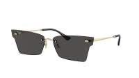 Ray-Ban Anh Pulse Bio-Based RB3731 921387 66-15 Light Gold