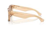 Burberry BE4424 4063/5A 52-18 Smeđa