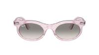 Ray-Ban Wayfarer oval Change Collection RB2242 1384/32 53-22 Photo waves purple