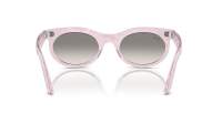 Ray-Ban Wayfarer oval Change Collection RB2242 1384/32 53-22 Photo waves purple