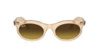 Ray-Ban Wayfarer oval Change Collection RB2242 1386/85 53-22 Photo waves brown