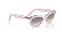 Ray-Ban Wayfarer oval Change Collection RB2242 1384/32 53-22 Photo waves purple