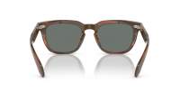 Oliver peoples N°6 sun OV5546SU 1753/W5 52-20 Tartaruga