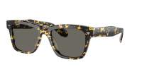 Oliver peoples N°4 sun OV5552SU 1778/R5 53-19 Tartaruga