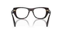 Prada PR A18V 17N-1O1 52-19 Root tortoise