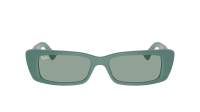 Ray-Ban Teru RB4425 6762/82 54-17 Algae green