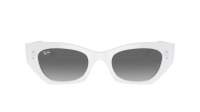 Ray-Ban Zena Pulse Bio-Based RB4430 6759/11 49-22 White snow