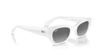Ray-Ban Zena Pulse Bio-Based RB4430 6759/11 49-22 White snow