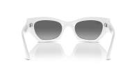 Ray-Ban Zena Pulse Bio-Based RB4430 6759/11 49-22 White snow