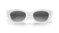 Ray-Ban Zena Pulse Bio-Based RB4430 6759/11 49-22 White snow
