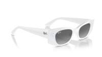 Ray-Ban Zena Pulse Bio-Based RB4430 6759/11 52-22 White snow