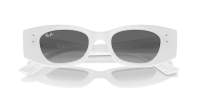 Ray-Ban Zena Pulse Bio-Based RB4430 6759/11 52-22 White snow