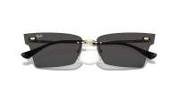 Ray-Ban Anh Pulse Bio-Based RB3731 921387 66-15 Light Gold