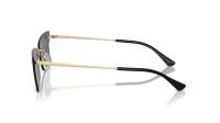 Ray-Ban Anh Pulse Bio-Based RB3731 921387 66-15 Light Gold