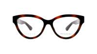 Gucci GG1581O 002 55-16 Tartaruga