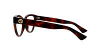 Gucci GG1581O 002 55-16 Tartaruga