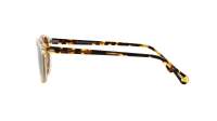Oliver peoples Gregory peck sun OV5217S 1485W4 50-23 Trasparente
