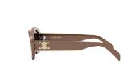 CELINE Triomphe 01 CL40194U 45E 52-22 Marrone