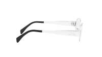 CELINE Triomphe metal CL50140U 016 53-17 Argento