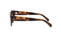 CELINE 3 dots CL40286I 53A 53-17 Tartaruga