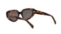 CELINE 3 dots CL40286I 53A 53-17 Tartaruga