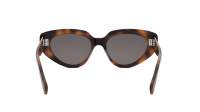 CELINE 3 dots CL40286I 53A 53-17 Tartaruga