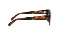 CELINE 3 dots CL40286I 53A 53-17 Tartaruga