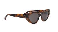 CELINE 3 dots CL40286I 53A 53-17 Tartaruga