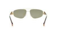 CELINE Metal triomphe CL40281U 30N 57-14 Oro