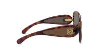 Loewe Paula's ibiza LW40132I 52G 65-14 Tartaruga