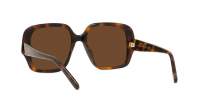 Loewe Thin LW40134U 52E 54-18 Tartaruga