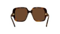 Loewe Thin LW40134U 52E 54-18 Tartaruga