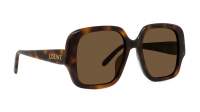 Loewe Thin LW40134U 52E 54-18 Tartaruga