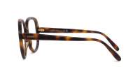 Loewe Thin LW50078I 052 54-16 Tartaruga