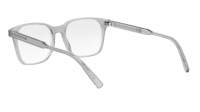DIOR Botanicao DIORBOTANICAO S1I 4800 53-17 Trasparente
