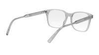DIOR Botanicao DIORBOTANICAO S1I 4800 53-17 Trasparente
