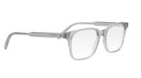 DIOR Botanicao DIORBOTANICAO S1I 4800 53-17 Trasparente