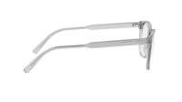 DIOR Botanicao DIORBOTANICAO S1I 4800 53-17 Trasparente