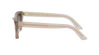 DIOR DIORMIDNIGHT B1I 40AE 53-18 Rosa