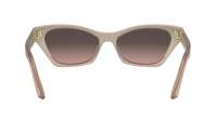 DIOR DIORMIDNIGHT B1I 40AE 53-18 Rosa