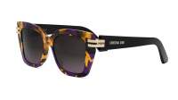 DIOR Cdior CDIOR S1I 24F2 52-15 Tartaruga