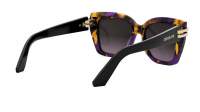 DIOR Cdior CDIOR S1I 24F2 52-15 Tartaruga