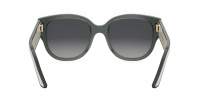 DIOR Pacific DIORPACIFIC B2I 55A1 54-20 Verde