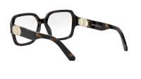 DIOR 30montaigne 30MONTAIGNEO S3I 2000 54-17 Tartaruga