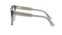 DIOR DIORPRISMEO S3I 4500 54-17 Grigio