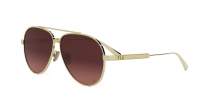 DIOR DIORCANNAGE A1U B0F2 61-11 Oro