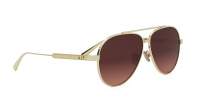 DIOR DIORCANNAGE A1U B0F2 61-11 Oro