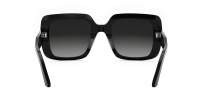 DIOR Signature DIORSIGNATURE S11I 14A1 54-23 Nero